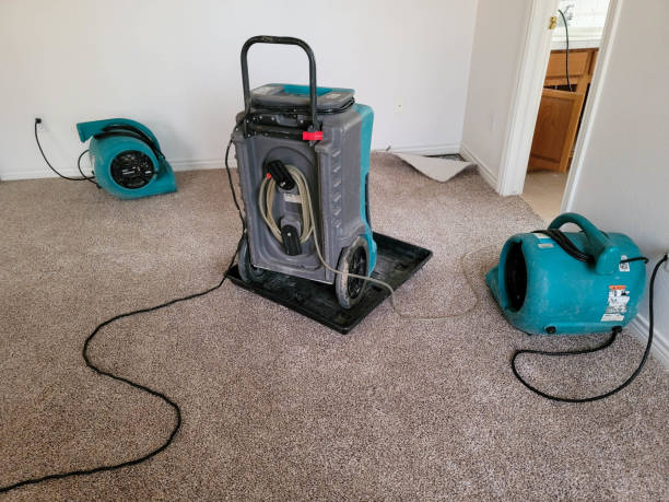 Best Water damage cleanup near me  in Nellysford, VA