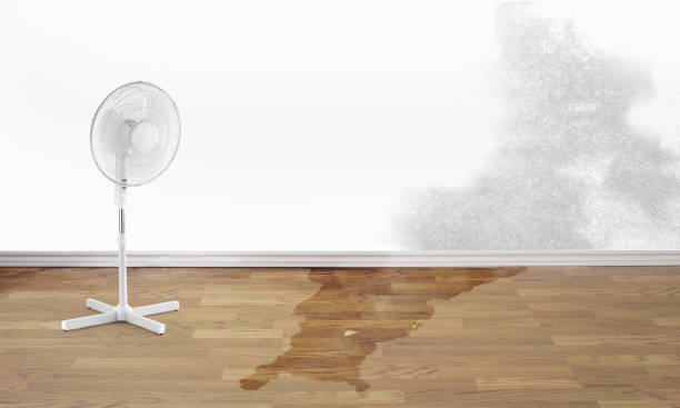 Water damage restoration experts in Nellysford, VA