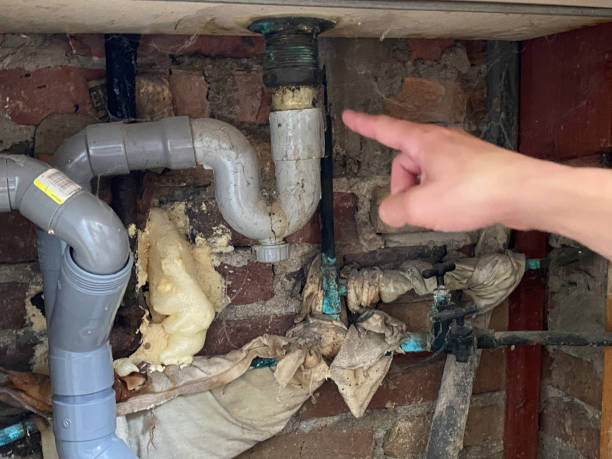 Best Water damage contractors near me  in Nellysford, VA